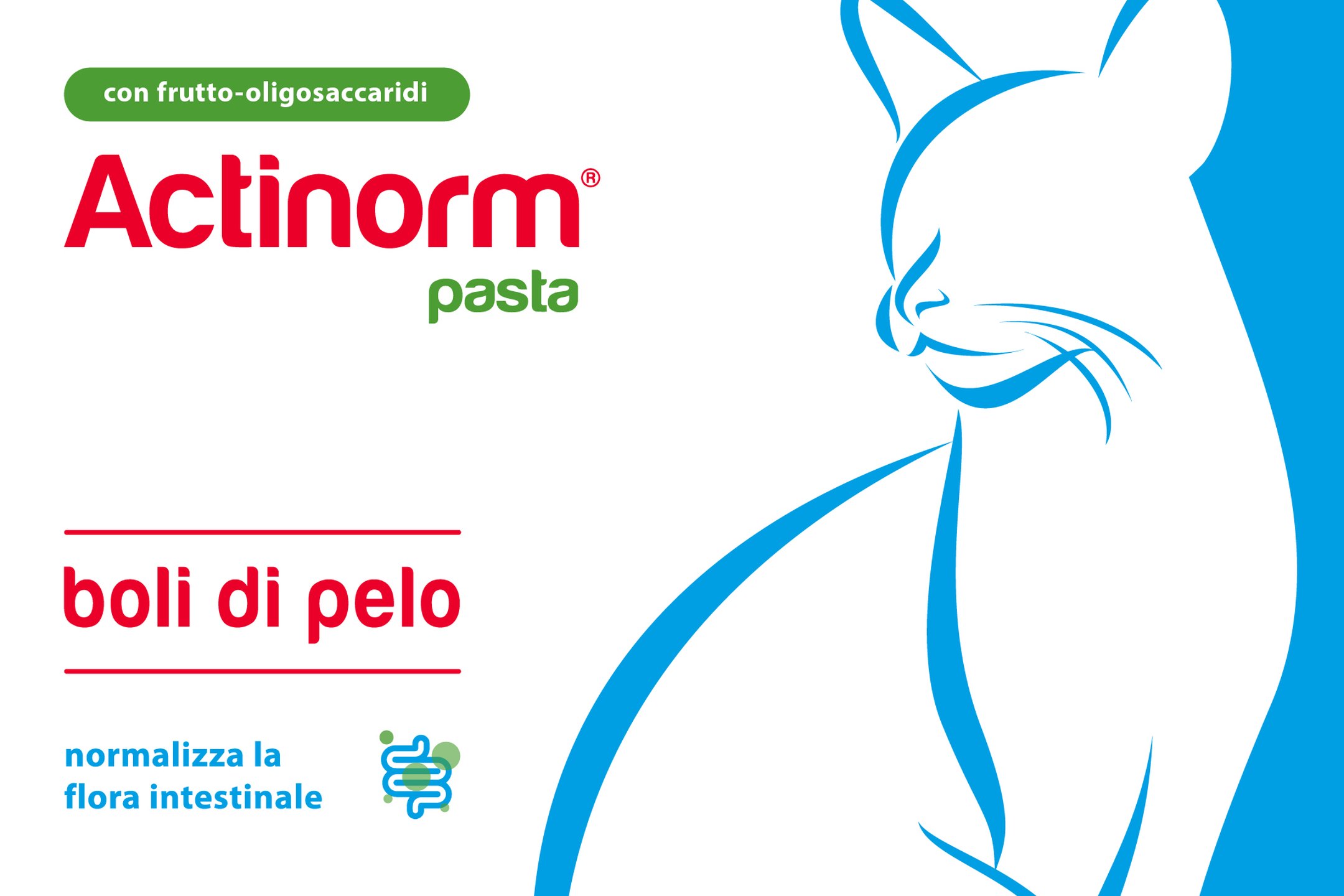 Ceva Santé Animale – Visual Actinorm® Pasta