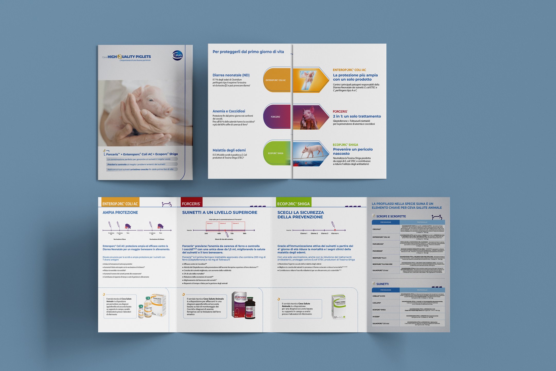 Ceva Santé Animale – Brochure scientifica per medici veterinari