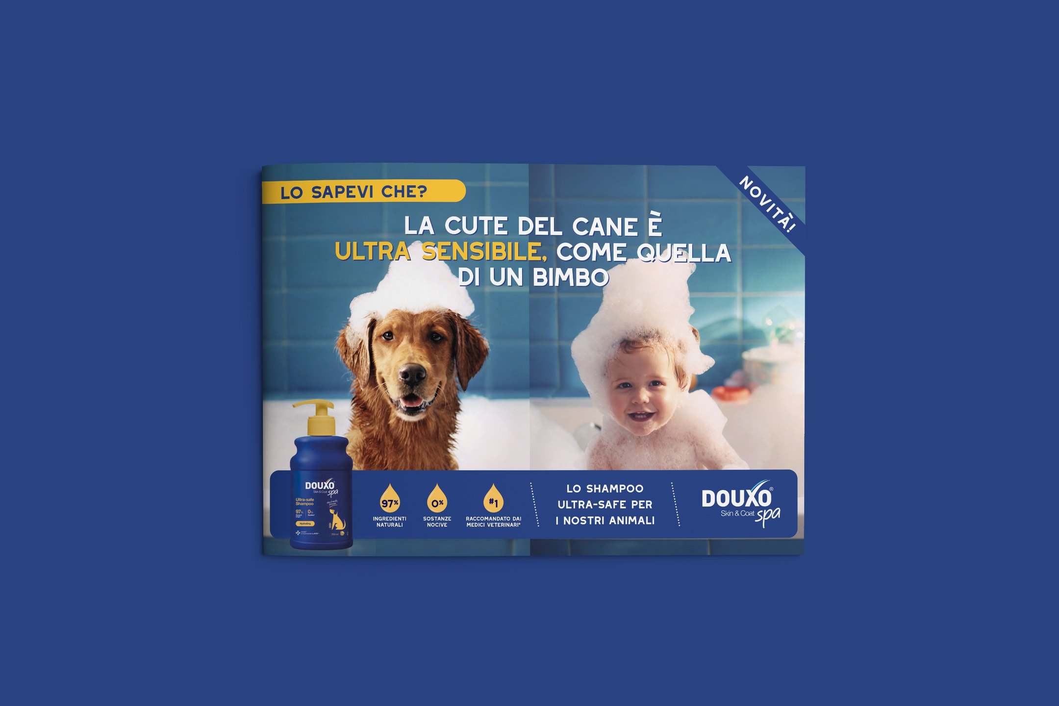 Ceva Santé Animale – Brochure Douxo®