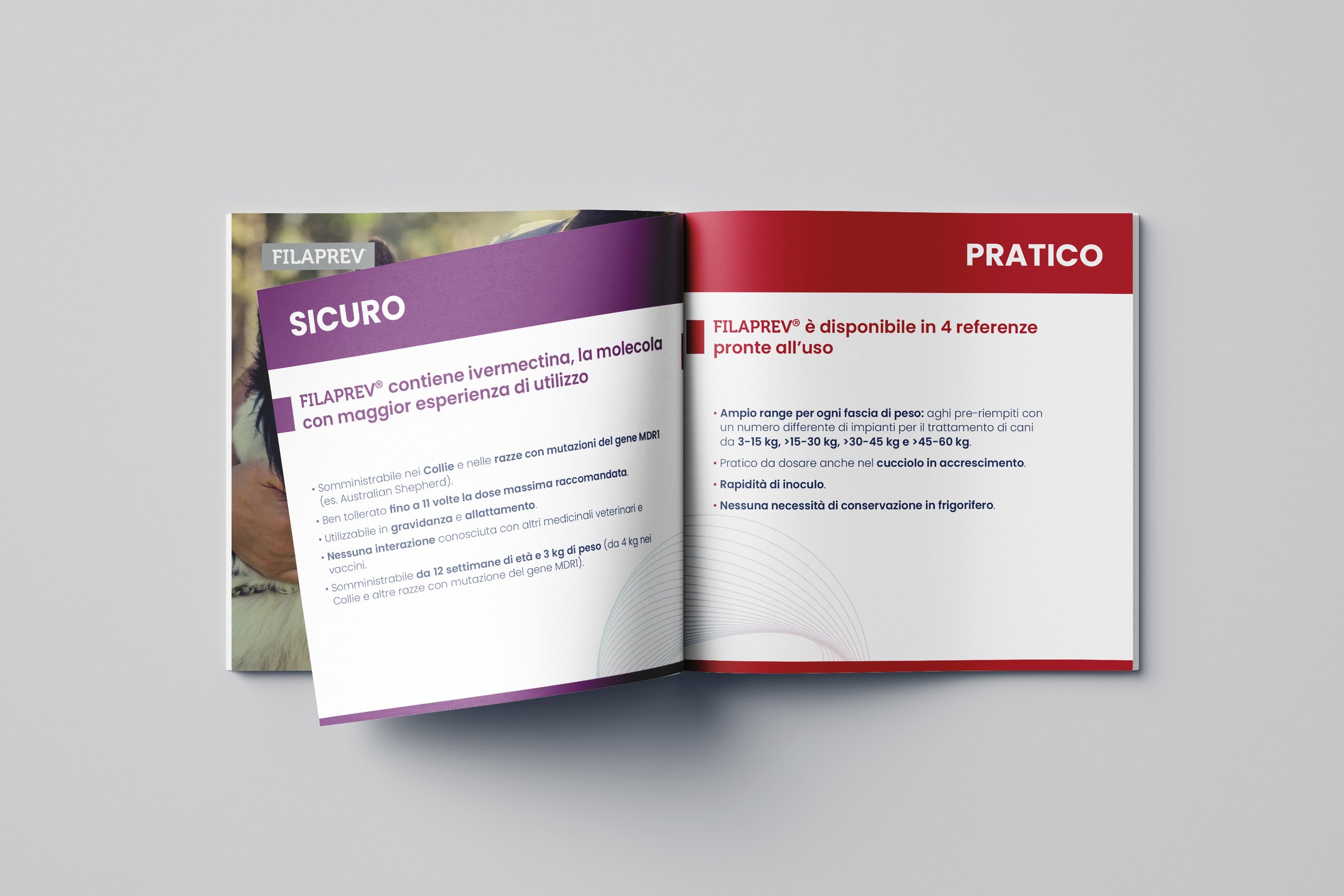 Ceva Santé Animale – Brochure Filaprev®, pagine interne